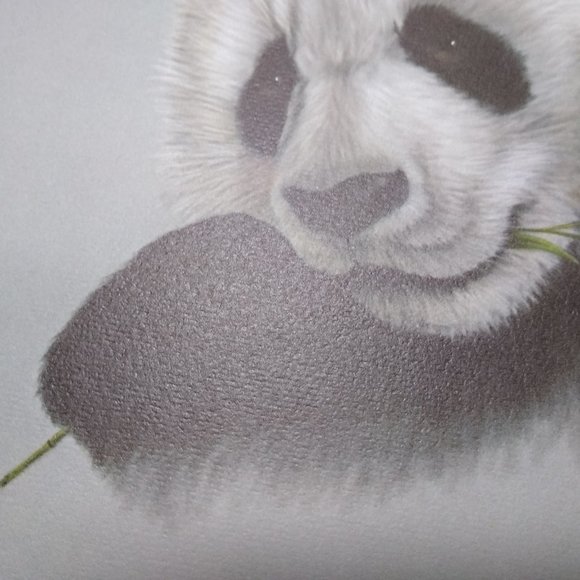 Panda II AP 10/100 by Harold Rigsby Signed - Picture 5 of 9